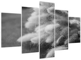 Obraz - bunny tail grass na stole (150x105 cm)