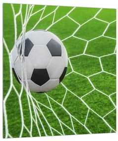 Obraz futbalovej lopty v sieti (30x30 cm)