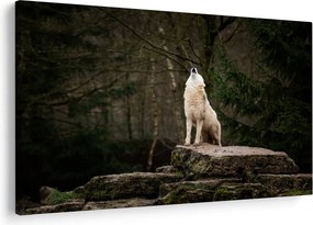 Obraz - Vytie vlka (90x60 cm)