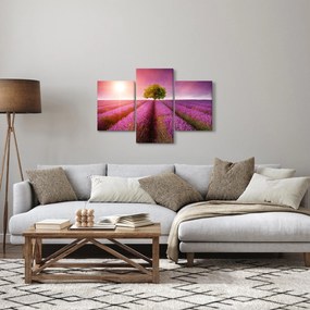 Obraz poľa s levanduľami (90x60 cm)