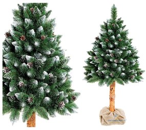 Umelý vianočný stromček borovica strieborná a šiška na pníku ECONOMIC | 160 cm