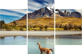 Obraz - Národný park Torres del Paine (90x60 cm)