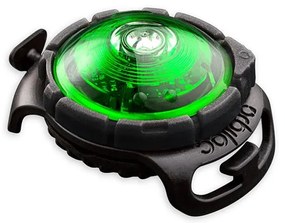 LED svetlo na obojok Green – Orbiloc