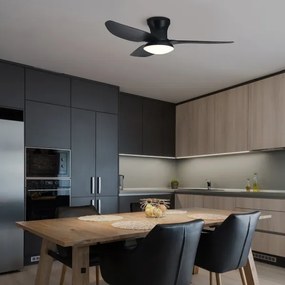 Brilagi LED stmievateľný stropný ventilátor 30W 230V 3000-6500K čierny + DO