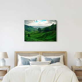 Obraz - Čajové plantáže v Malajzii (90x60 cm)