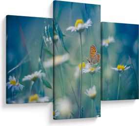 Obraz - Motýľ na sedmokráske (90x60 cm)