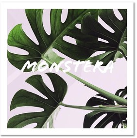 Gario Obraz na plátne Exotické listy - monstera Rozmery: 30 x 30 cm