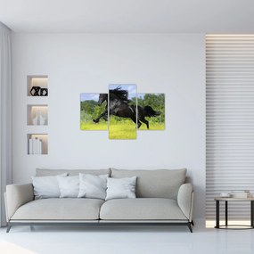 Obraz - Kôň s vzdušnou hrivou (90x60 cm)