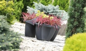 Kvetináč CROWL antracit 48 cm