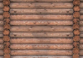 Fototapeta - Zrub (152,5x104 cm)