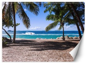 Fototapeta, Písečná pláž mezi palmami - 350x245 cm