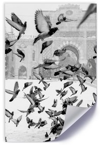 Gario Plagát Holuby na zimnom námestí Farba rámu: Bez rámu, Veľkosť: 20 x 30 cm