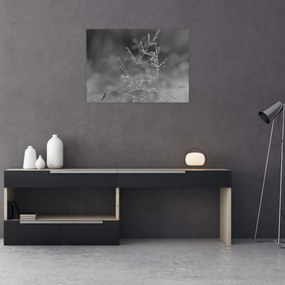 Obraz - Vidiecka lúka (70x50 cm)