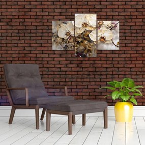 Obraz - Orchidey (90x60 cm)