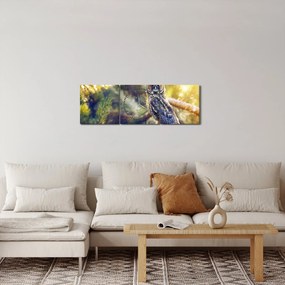 Obraz sovy na strome (s hodinami) (90x30 cm)