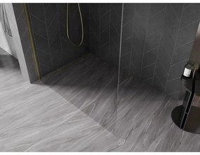 Mexen, Mexen Kioto-X sprchová stena 60 x 200 cm, priehľadná 10 mm, zlatý kartáč - 800-060-101-55-00-X