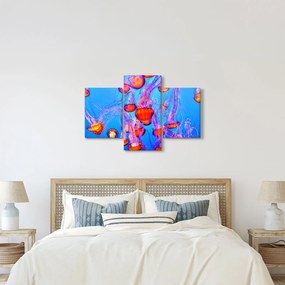 Obraz medúz v mori (90x60 cm)