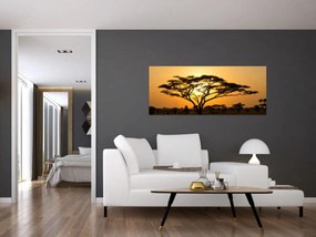 Obraz - Africká savana (120x50 cm)