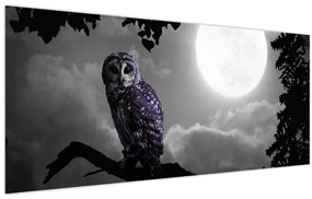 Obraz - Nočná sova, fialová sova (120x50 cm)