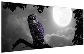 Obraz - Nočná sova, fialová sova (120x50 cm)