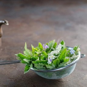 Orion Cedidlo nerez pr. 10 cm, 10 cm