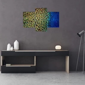 Obraz - Pávie perie (90x60 cm)