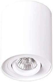 MaxLight Basic Round stropné svietidlo 1x50 W biela C0067