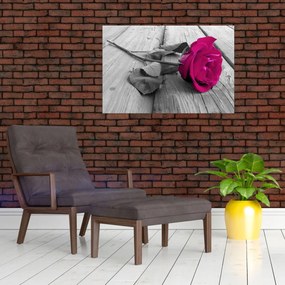 Obraz - Ružová ruža (90x60 cm)