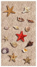 Koberec Vitaus Sandria, 50 × 80 cm