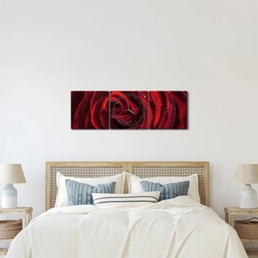 Obraz - Červená ruža s kvapkami rosy (s hodinami) (90x30 cm)