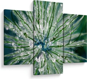 Obraz - Makro snímka kvetu (90x60 cm)