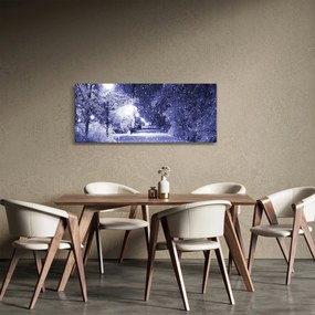 Obraz - Čarovná zimná noc (120x50 cm)