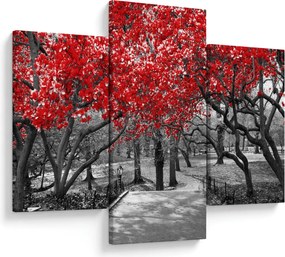 Obraz - Červené stromy, Central Park, New York (90x60 cm)