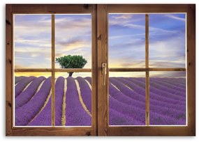 Obraz na plátně Výhled z okna na levandulové pole - 100x70 cm
