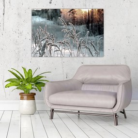 Obraz - Zamrznutá lúka (90x60 cm)