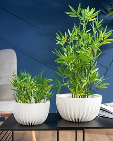 Kvetináč STRIPPED ECO 24 cm biely