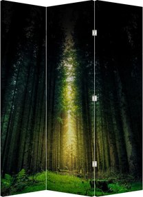 Paraván - Temný les (126x170 cm)