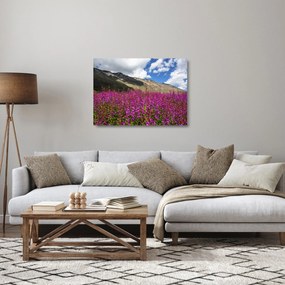 Sklenený obraz scenérie horské lúky (70x50 cm)