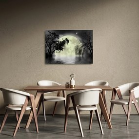 Sklenený obraz - Spln nad hladinou, čiernobiely variant (70x50 cm)