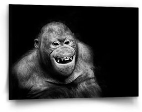 Sablio Obraz Orangután - 90x60 cm