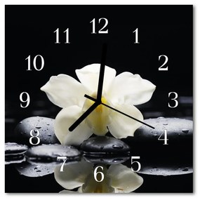 Nástenné sklenené hodiny Kamene orchidey 30x30 cm