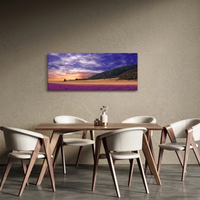 Obraz levanduľovej lúky (120x50 cm)