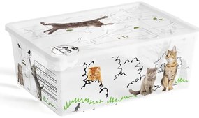 Biely plastový úložný box s vekom 37x26x15 cm C Box Style – KIS