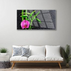 Skleneny obraz Bambus kvet kvapky 120x60 cm