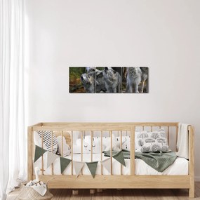 Obraz - Vlci na skale (s hodinami) (90x30 cm)