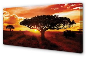 Obraz canvas Stromy mraky západ 100x50 cm
