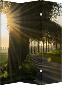Paraván - Alej (126x170 cm)