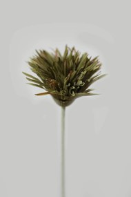 Tmavozelená umelá gerbera 58cm