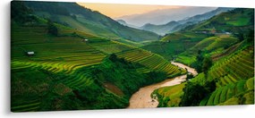 Obraz - Ryžové terasy II. (120x50 cm)