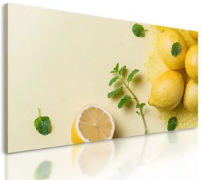 Obraz citróny na žlom pozadí